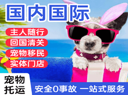 贵阳机场邮寄国际宠物托运 【国
